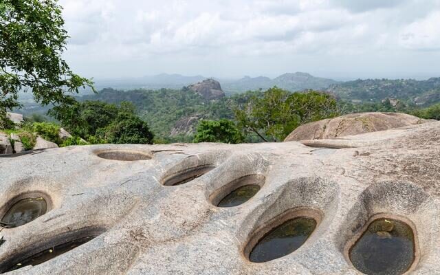 Dassa-Zoumè Sacred Forest