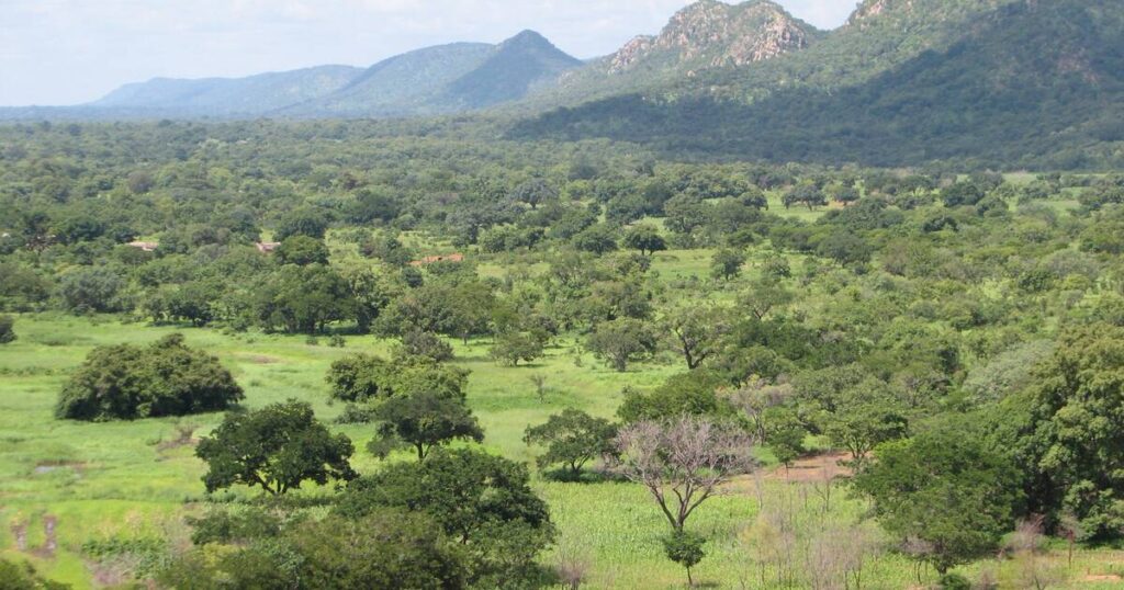 Pendjari National Park