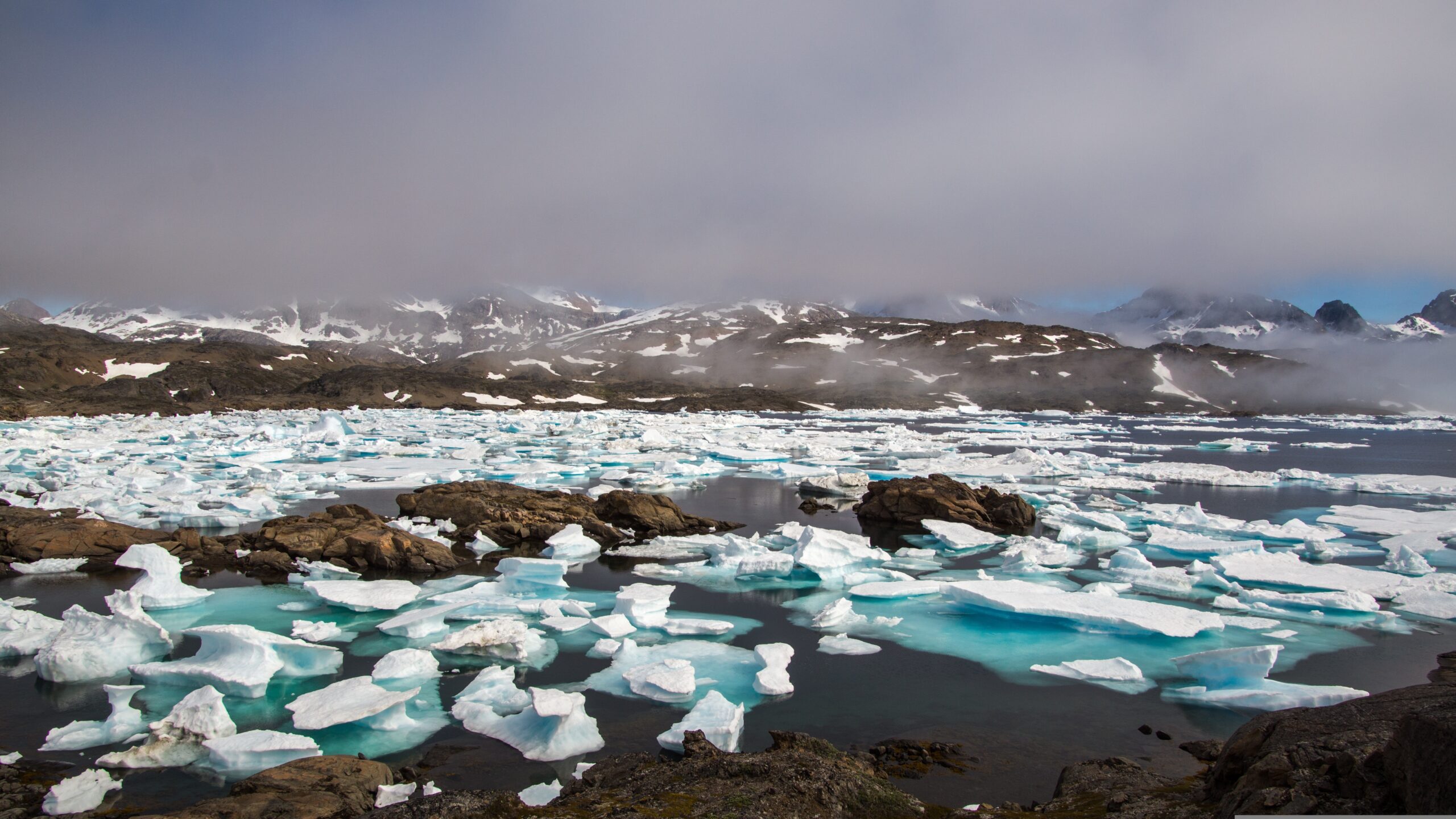 The Russian Tundra